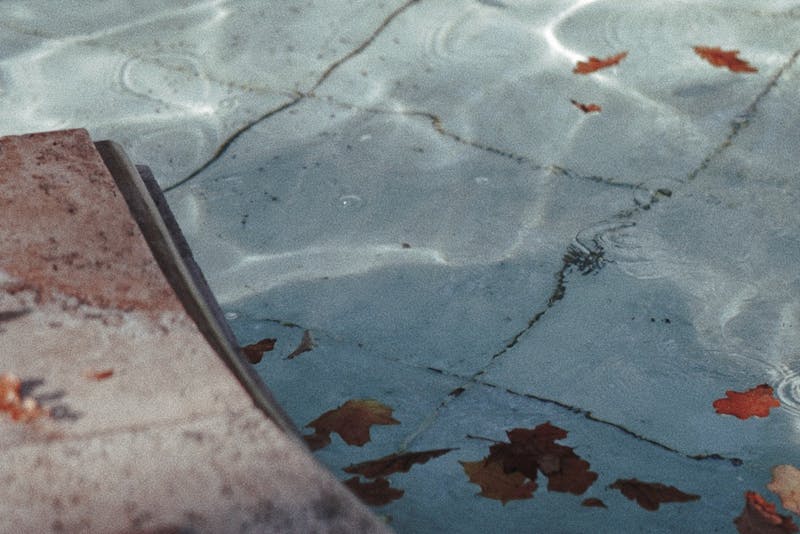 dirt and dead leaves in the pool
